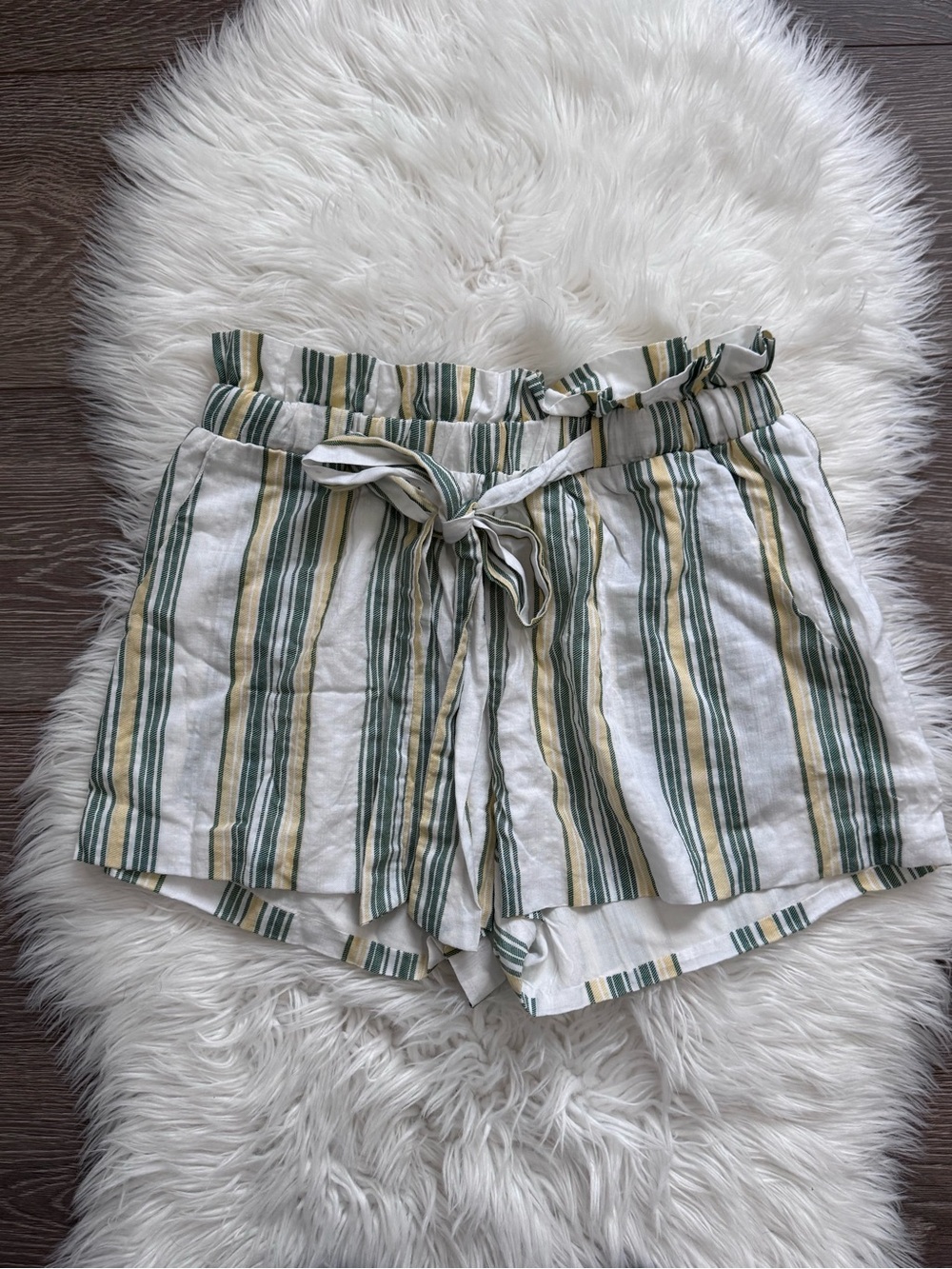 Hummingbird Striped High Waist Shorts in Green and Cream